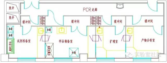 PCR實驗室平面布局 